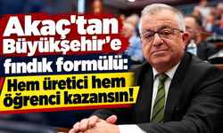 Trabzon'da fındık için sıra dışı öneri!
