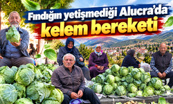 Alucra kelemi hem sofraya hem ekonomiye katkı sağlıyor