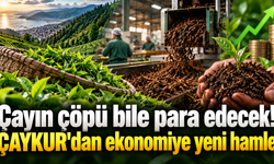 ÇAYKUR çay atıklarını ekonomiye kazandırıyor!
