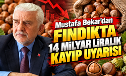 Ortahisar Ziraat Odası'ndan fındık için kritik çağrı