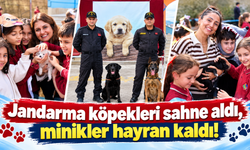 Minik eller kulübeleri renklendirdi, yürekleri ısıttı!