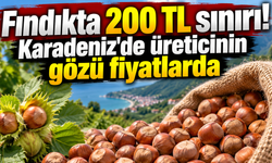 Fındık üreticisi beklemede! Fiyatlar yükselişe geçecek mi?