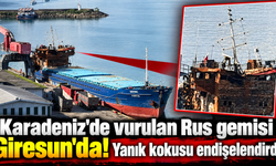 Karadeniz'de vuruldu, Giresun'a getirildi!