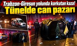 Trabzon plakalı kamyonla çarpıştı!