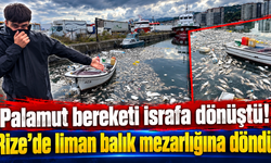 “Denizden çıktı, yeniden denize döküldü!