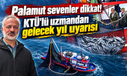 “Palamut sevenler dikkat! Gelecek yıl aynı bolluk olmayabilir”