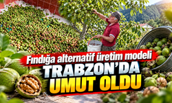 Trabzon'da cesur karar meyvesini verdi