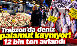 Palamut 40 TL'ye kadar düştü!