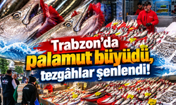 Palamut yağlandı, tuzlama zamanı yaklaşıyor