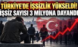 Türkiye'nin istihdam tablosu değişti!