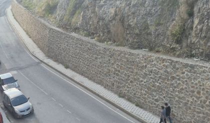 Gümüşhane dağlarının süsü yaban keçileri şehrin de süsü oldu