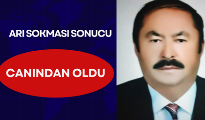 Eski muhtar arı sokması sonucu hayatını kaybetti