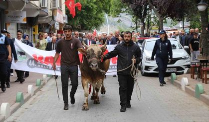 44. Kafkasör Festivali boğalı kortej yürüyüşüyle başladı