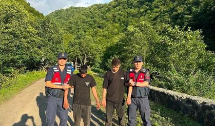Artvin’de kaçak göçmenler ormanlık alanda yakalandı