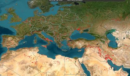 Avrupa’da sıcaklık bazı ülkelerde 46 dereceyi buldu