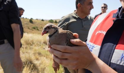 Gümüşhane’de keneyle mücadele için 400 keklik doğaya salındı