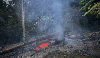 Gümüşhane’deki orman yangını söndürüldü