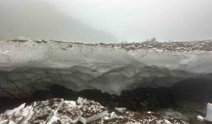 Kar kütlesi altında kalan kadının cansız bedenine ulaşıldı