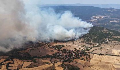 Orman yangınında alevler yerleşim yerlerine doğru ilerliyor