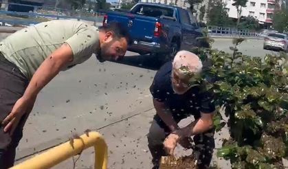 Rize’de arıların çiçek seferi