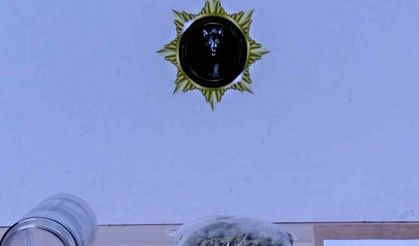 Samsun’da uyuşturucu operasyonu: 7 gözaltı