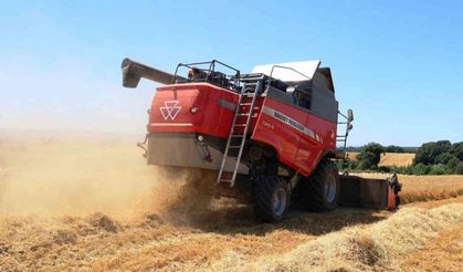 Sebzede lider, meyvede güçlü, tarımda marka şehir: Samsun