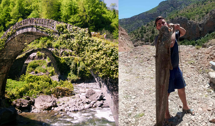 Ardanuç’ta baraj gölünde dev yayın balıkları yakalandı
