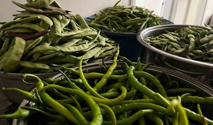 Bayburtlu kadınlar kışlık turşu hazırlıklarına başladı