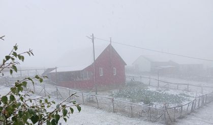 Doğu Karadeniz’in sahili ve iç kesimlerindeki şiddetli yağış yerini zirvelerde kara bıraktı