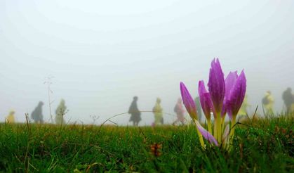Gümüşhane’de 130 dağcı Çetlüce Yaylası’nda sis ve yağmur altında yürüdü