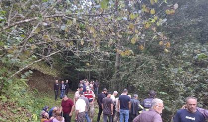 Ordu’da feci kaza: Uçuruma yuvarlanan patpatın altında can verdi