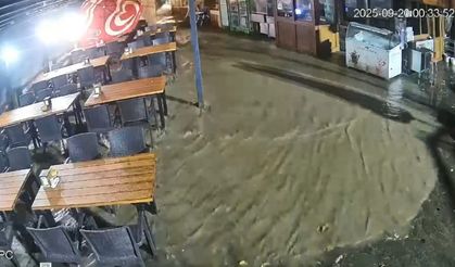 Rize’de nasıl geldi?