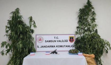 Samsun’da uyuşturucuya 2 gözaltı