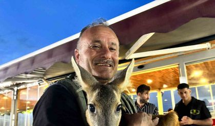 Trabzon’un sevimli karacası ‘Pınar’ sığındığı işletmenin maskotu haline geldi