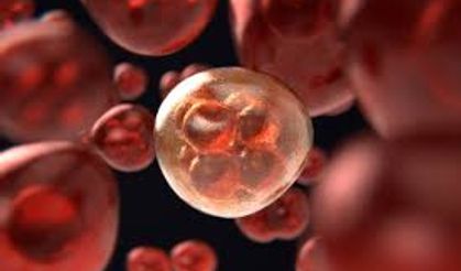 Doğu Karadeniz bölgesinde kanser türleri cinsiyete göre değişiyor