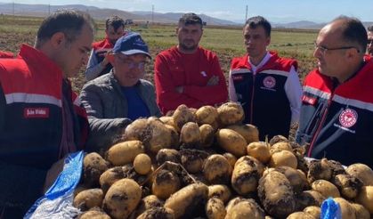 Bayburt’ta patates hasadına başlandı