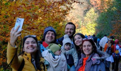 "Doğal Ağaç Müzesi" ziyaretçi akınına uğruyor