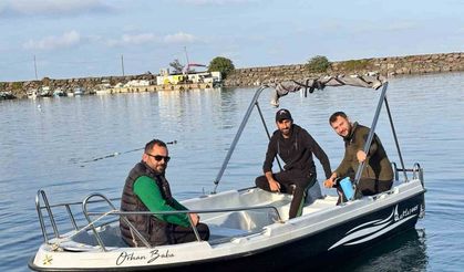 Trabzon kıyılarında köpek balığı hareketliliği arttı