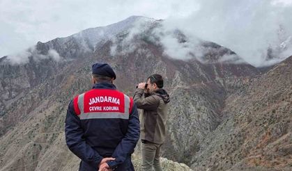 Artvin’de kaçak ve usulsüz avcılığa yönelik denetimler sürüyor