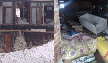 Ayılar kış uykusu nedir bilmiyor, yayla evlerine saldırıları sürüyor