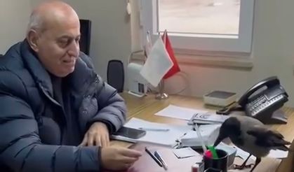 Trabzon'da belediye başkanının gülümseten karga diyaloğu