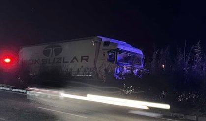 Tır aydınlatma direğine çarptı, şoför hayatını kaybetti