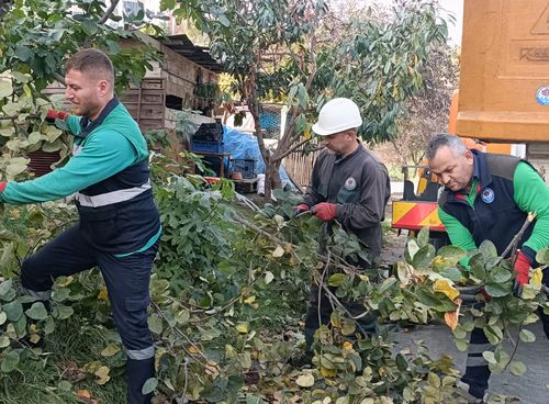Büyükşehir'den sonbahar temizliği