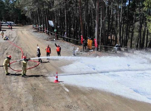 Ormancılar kıyasıya yarıştı