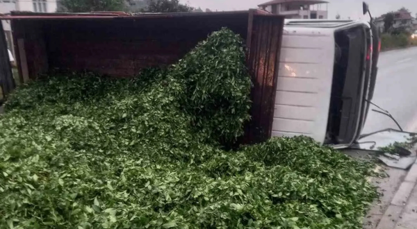 Kaza sonrası 10 ton çay yere saçıldı