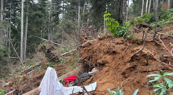 Kestiği ağacın altında kalan bir kişi hayatını kaybetti