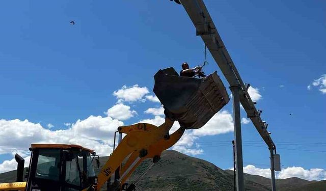 Güvenlik kamerası direğine takılan karga için seferber oldular