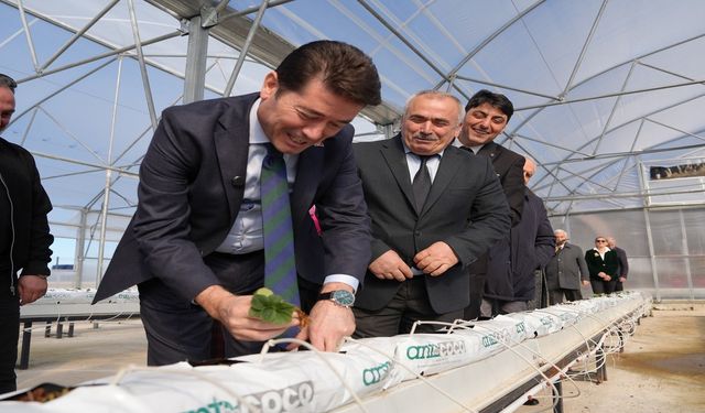 En Mutlu Köy İstiridye Mantarı'nın satışına başlandı