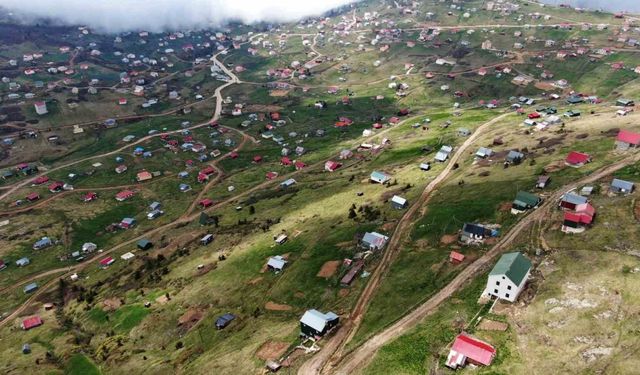Doğu Karadeniz’deki yaylalar kaçak betonlaşma tehdidi altında