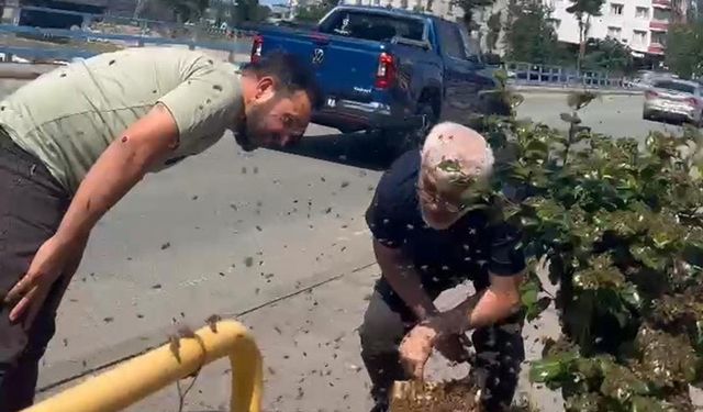 Rize’de arıların çiçek seferi